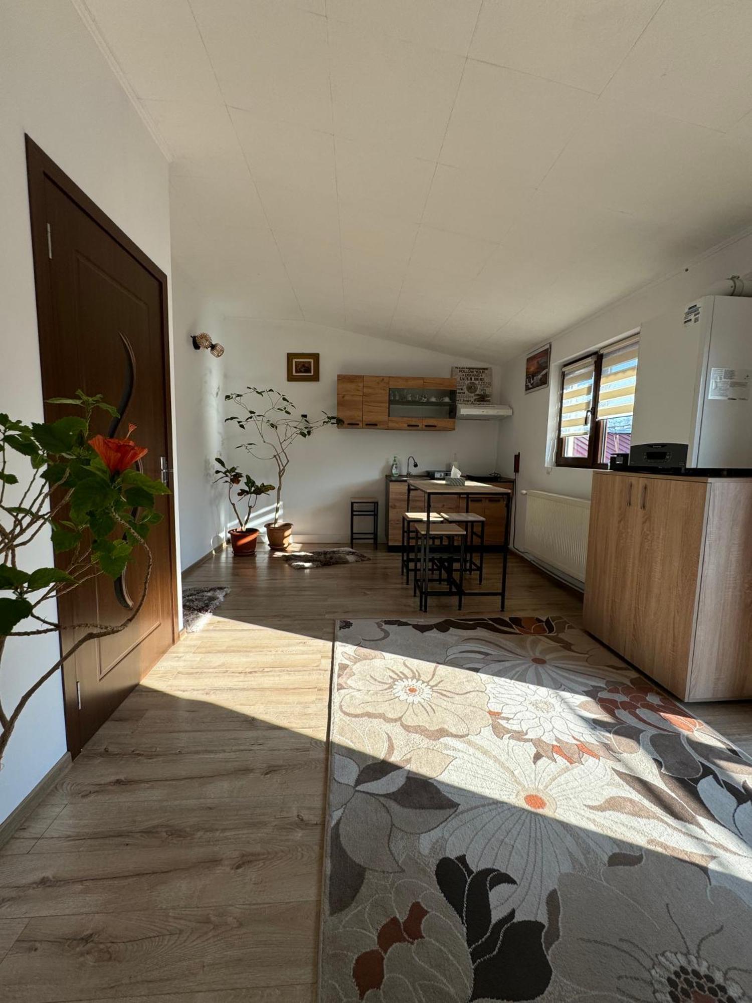Victor Residence 38 بوخارست المظهر الخارجي الصورة