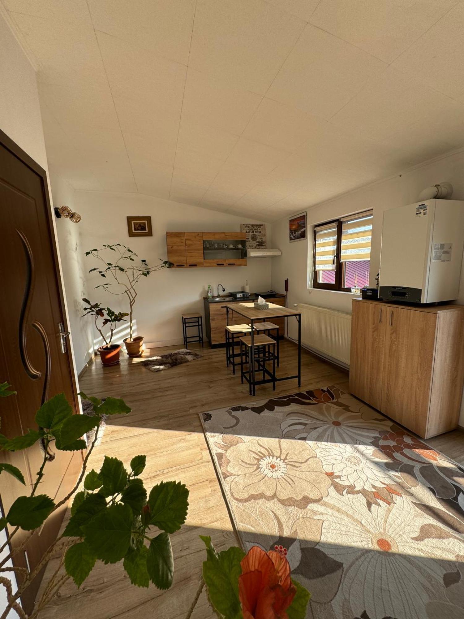 Victor Residence 38 بوخارست المظهر الخارجي الصورة