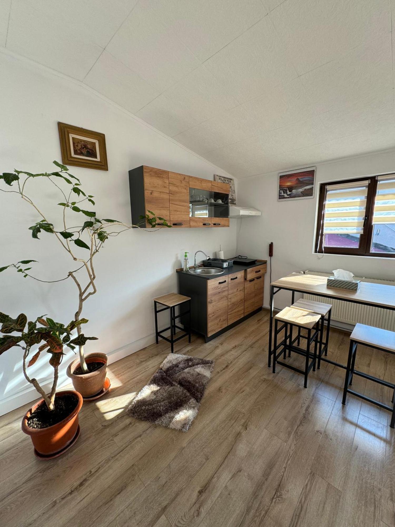 Victor Residence 38 بوخارست المظهر الخارجي الصورة