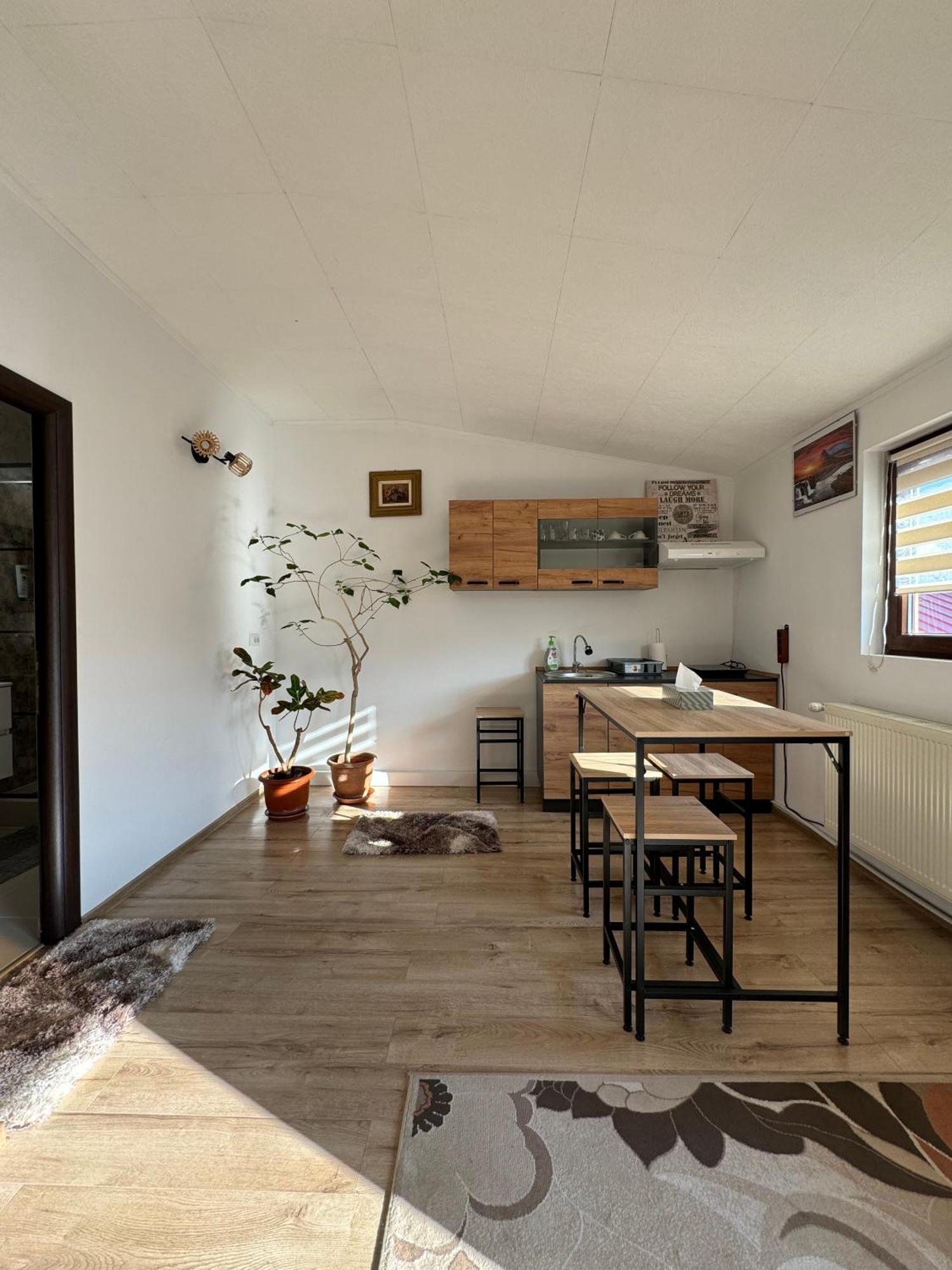 Victor Residence 38 بوخارست المظهر الخارجي الصورة
